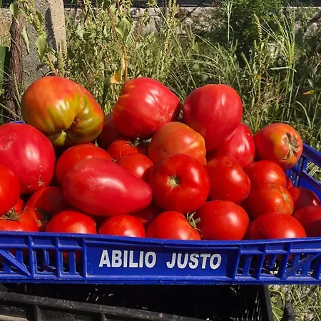 Casa Da Costeira 3* Sao Torcato (Braga)