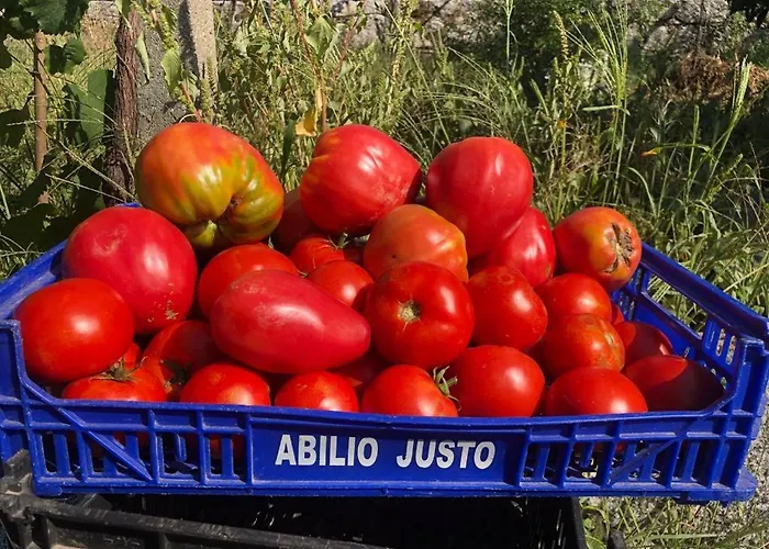 Casa Da Costeira 3* Sao Torcato (Braga)