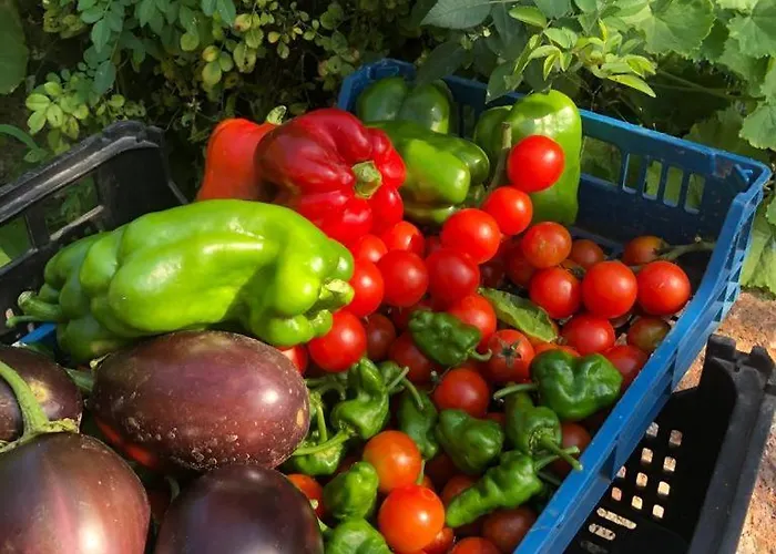 Casa Da Costeira Guest house 3*